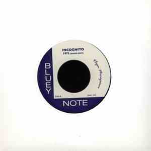 Incognito - 1975 mp3 album