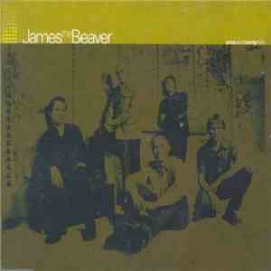 James The Beaver - One And Only Life mp3 album