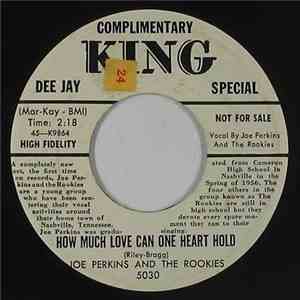 Joe Perkins & The Rookies - How Much Love Can One Love Hold / A New Feeling mp3 album