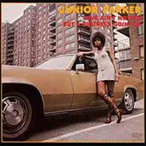 Junior Parker - Love Ain't Nothin' But A Business Goin' On mp3 album
