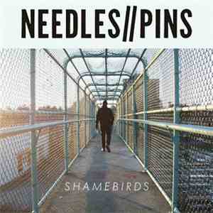 Needles//Pins - Shamebirds mp3 album