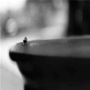 Pablo Reche - Invisibles mp3 album