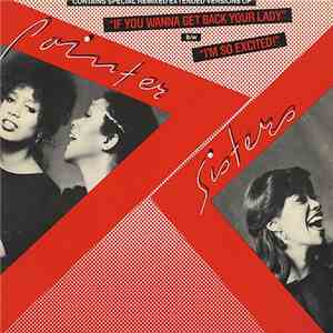 Pointer Sisters - If You Wanna Get Back Your Lady / I'm So Excited mp3 album