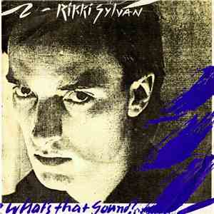 Rikki Sylvan - What's That Sound? mp3 album