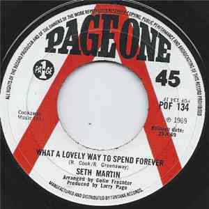 Seth Martin  - What A Lovely Way To Spend Forever mp3 album