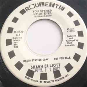 Shawn Elliott - You Opened Up My Eyes mp3 album