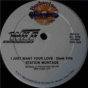 Sleek Elite - I Just Want Your Love mp3 album