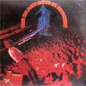The Beach Boys - In Concert mp3 album