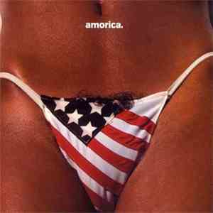 The Black Crowes - Amorica mp3 album