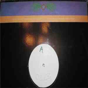 The Flight Commander - In The Arc Of The Bow mp3 album