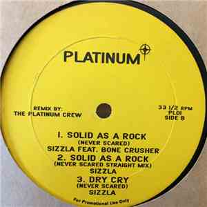The Platinum Crew - Platinum mp3 album