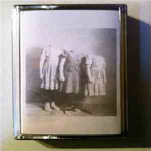 The Skin - No Voices mp3 album