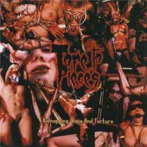 Tore To Pieces - Kidnapping, Rape And Torture mp3 album
