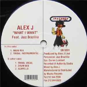 Alex J Feat Jazz Brazillia - What I Want mp3 album