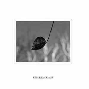 πEnsemble - Pădurea De Aur (Opus 2 In Re Major) mp3 album