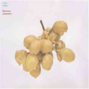 Evan Miller - Beeswax Ephemera mp3 album