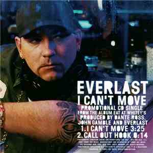 Everlast - I Can't Move mp3 album