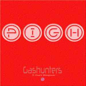 Gashunters, Dani Rogosic - PIGH mp3 album