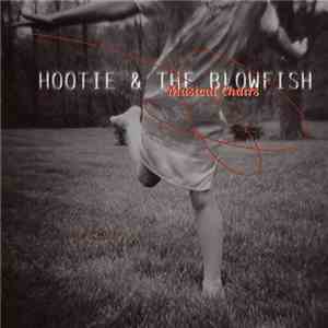 Hootie & The Blowfish - Musical Chairs mp3 album