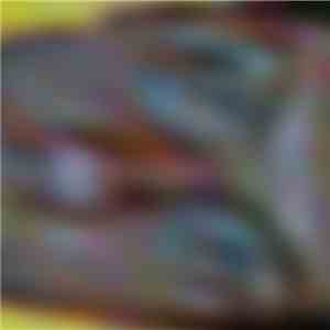Matt Ellin - Hey Nice mp3 album