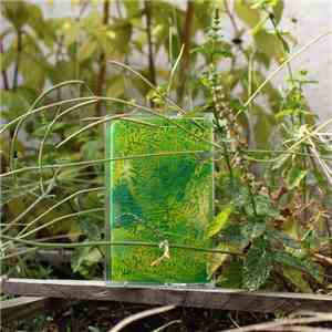 Mist (ls) - Exotisch getint mp3 album