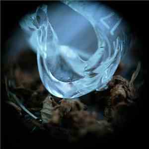 Ossicles - Mantelpiece mp3 album