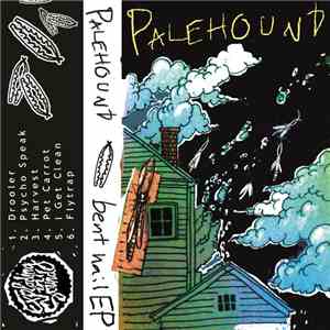 Palehound - Bent Nail EP mp3 album
