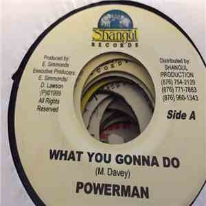 Powerman - What You Gonna Do mp3 album