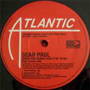 Sean Paul - (When You Gonna) Give It Up To Me / Never Gonna Be The Same mp3 album
