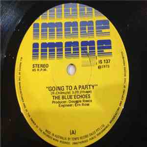 The Blue Echoes  - Going To A Party mp3 album