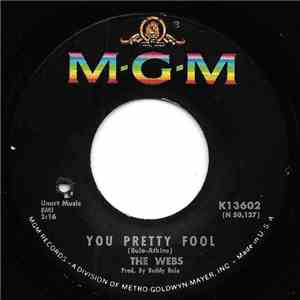 The Webs - You Pretty Fool mp3 album