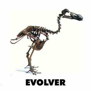 Various - Evolver mp3 album