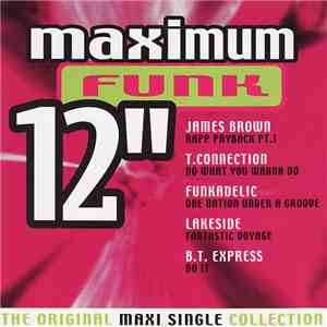Various - Maximum Funk 12" mp3 album