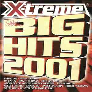 Various - X-treme Big Hits 2001 mp3 album