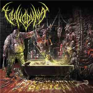 Vulvodynia - Psychosadistic Design (Tour Edition) mp3 album