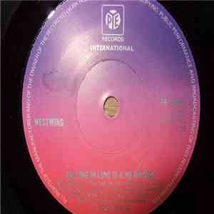 Westwing - Falling In Love Is A No No Baby mp3 album
