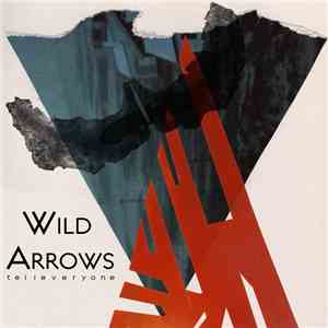 Wild Arrows - Tell Everyone mp3 album
