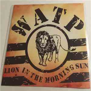 Will And The People - Lion In The Morning Sun mp3 album