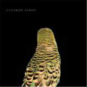 Andrew Bird - Armchair Apocrypha mp3 album
