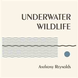 Anthony Reynolds - Underwater Wildlife mp3 album
