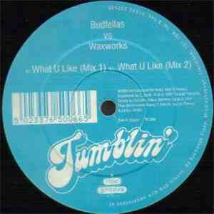 Budfellas vs. Waxworks - What U Like mp3 album
