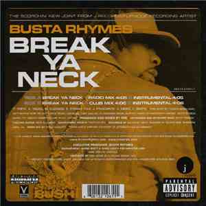 Busta Rhymes - Break Ya Neck mp3 album