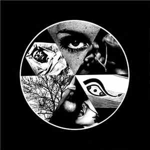 Demdike Stare - Liberation Through Hearing mp3 album