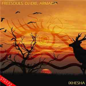 Freesouls, DJ Exe, Armada  - Ixhesha mp3 album