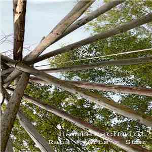 Hammerschmidt - Rats=Arts=Star mp3 album