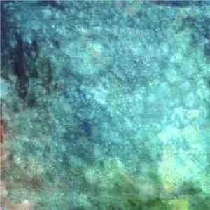 Hirotaka Shirotsubaki - Perfect Days For Suicide mp3 album