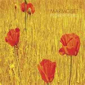 Marmoset - Florist Fired mp3 album