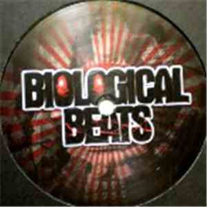 Nu Elementz & Decimal Bass - Shogun mp3 album