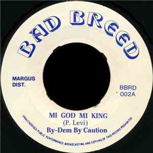 P. Levi - Mi God Mi King / In-A-Mi-Yard mp3 album