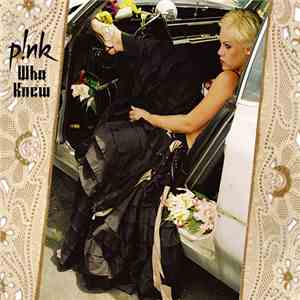 P!NK - Who Knew mp3 album